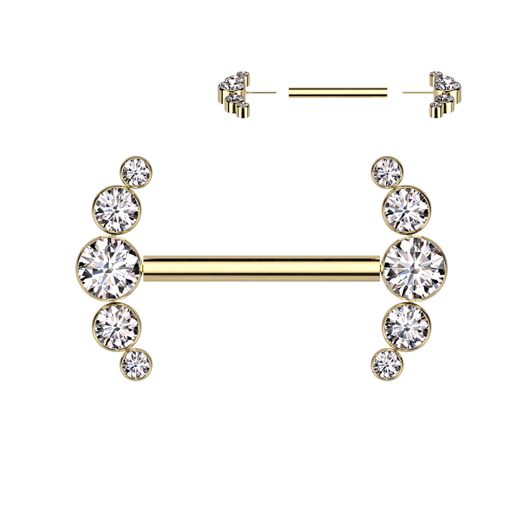Titanium Threadless 5 Gem Nipple Bar