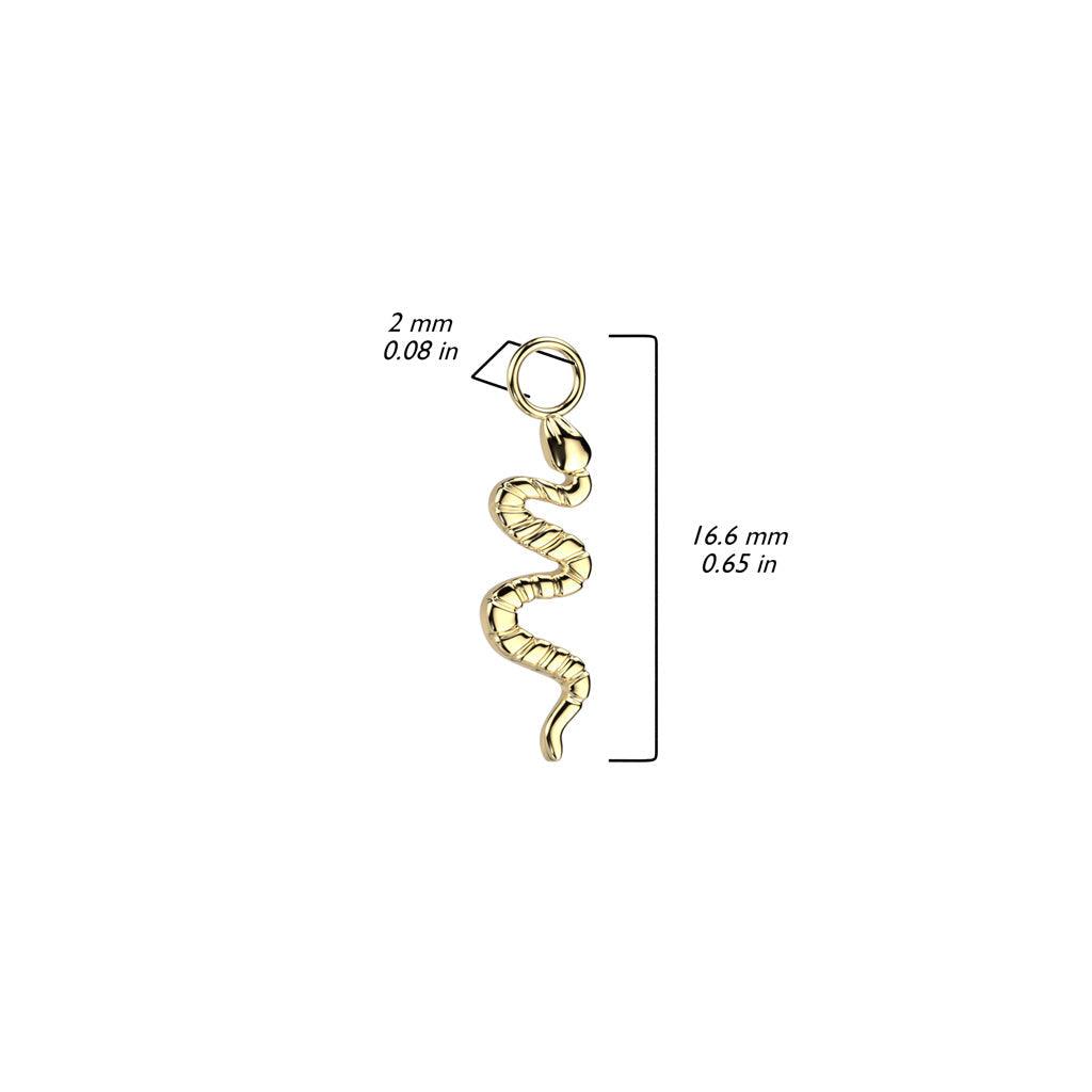 Body Jewelry - Titanium Charm Dangle