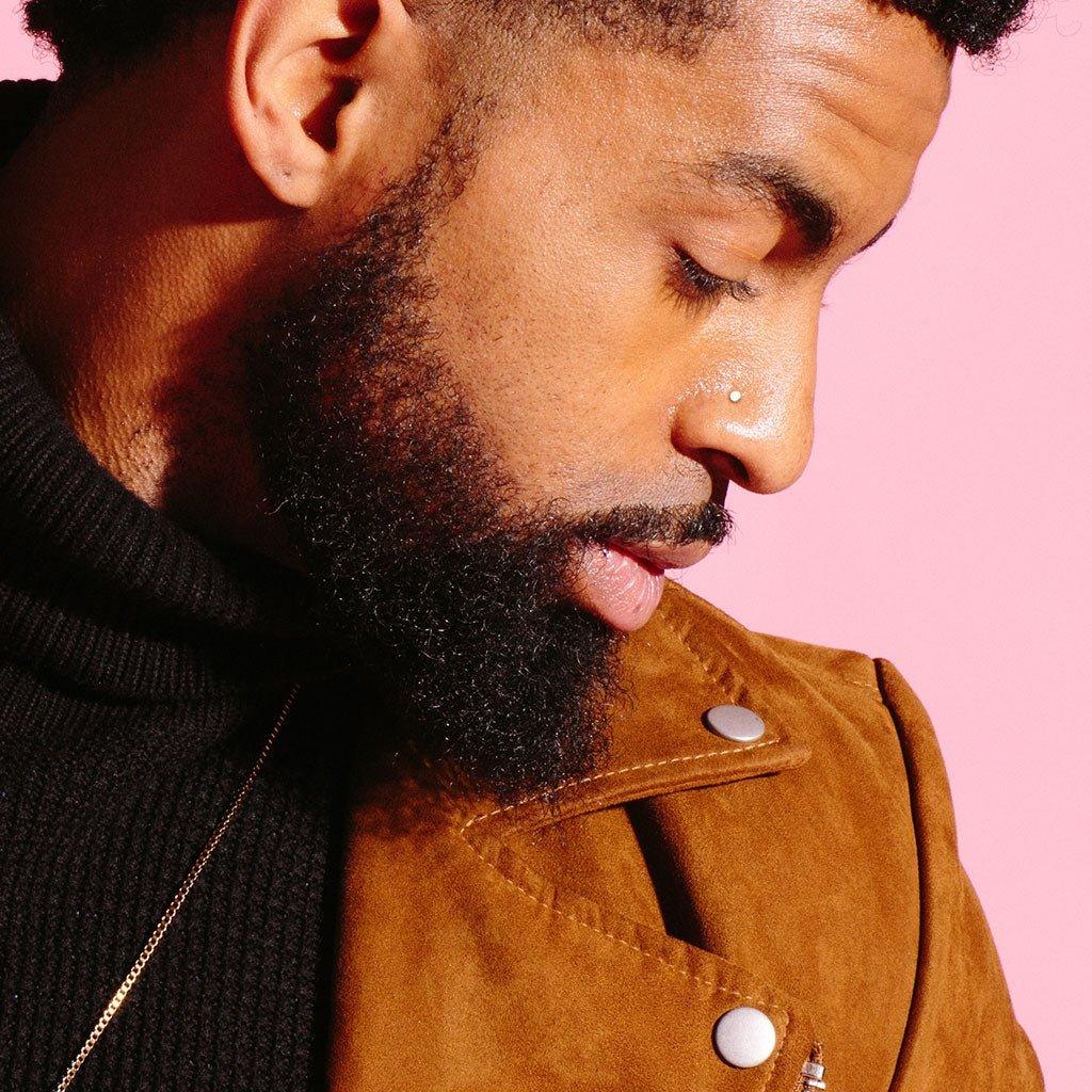 Circle Top Nose L Bend 20G-My Body Piercing Jewellery