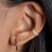 Body Jewelry - Titanium Triple Side Paved Hinged Ring 16G