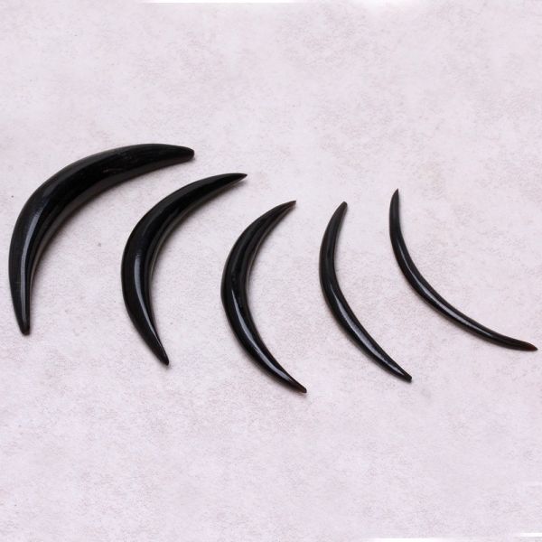 Buffalo Horn Septum Tusk in various sizes